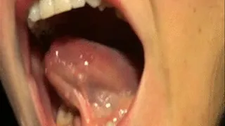 My Mouth