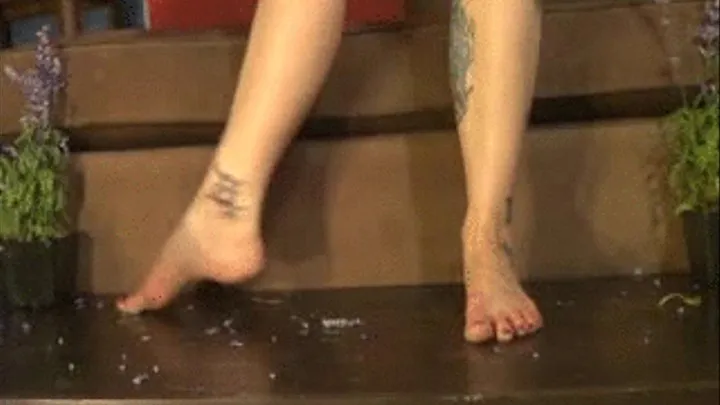 (Request) Sexy Feet and Toe Tease