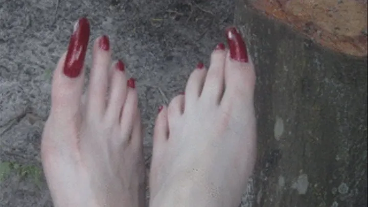 My Sexy Feet Toes 11