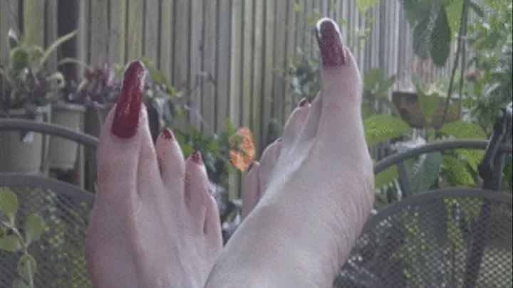 My Sexy Feet Toes 7