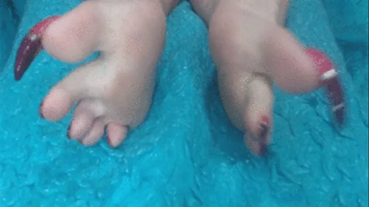 Slave Worship Toes JOI CEI 2