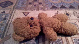 teddy bear crushed