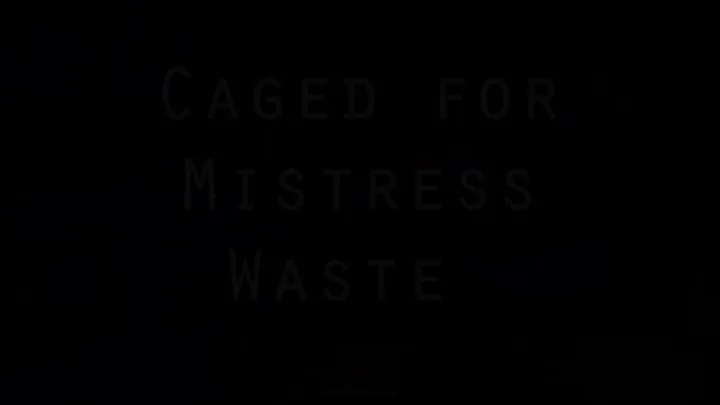 Caged for Mistress Waste