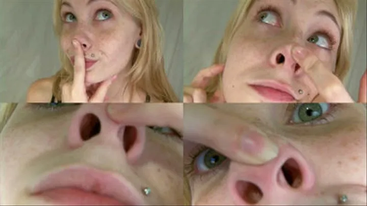 Piggy Nostrils