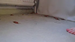 Vacuuming my filthy bathroom