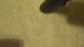 POV vacuuming