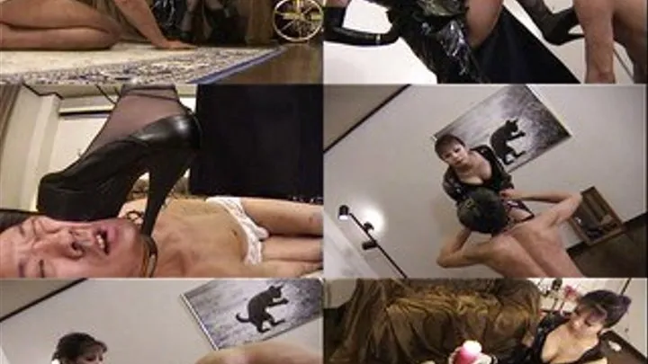 Boytoy Gets Trampled On - Full version - QVD-005 (Faster Download - )