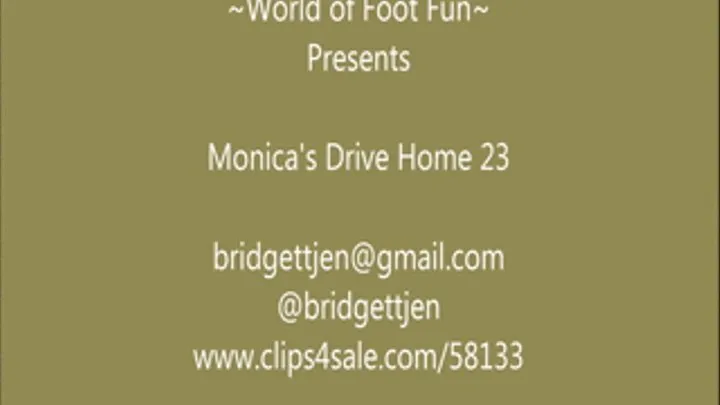 Monica's Drive Home 23