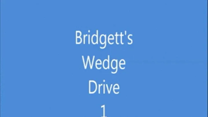 WedgeDrive1