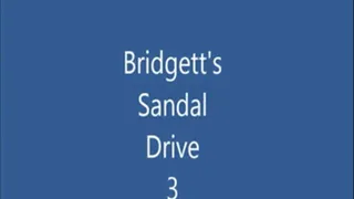 Bridgett's Sandal Drive 3