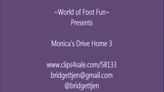 Monica's Drive Home 3
