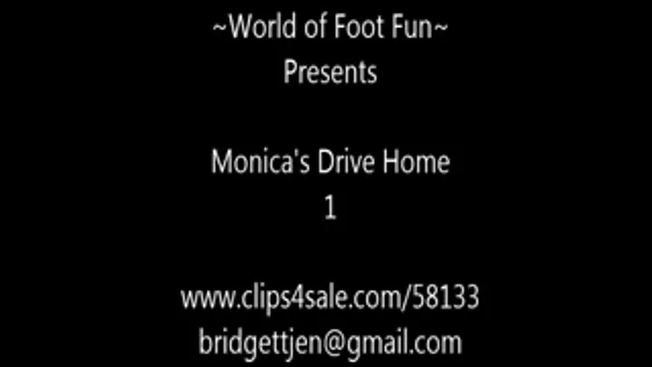 Monica's Drive Home 1