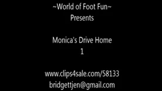 Monica's Drive Home 1