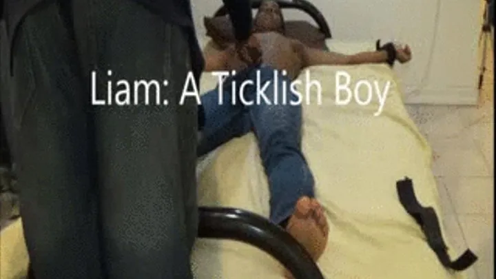 Liam: A Ticklish Boy Segment 2