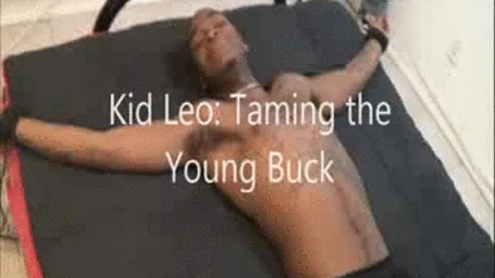 Leo: Taming the Young Buck Part 1