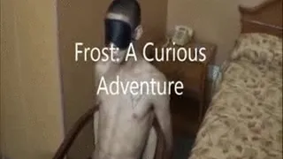 Frost: A Curious Adventure Segment 1