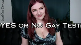 Yes or no gay test