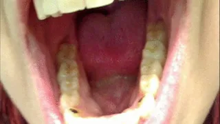 Mouth Close Up (Custom Request)