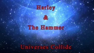 Harley Vs. The Hammer