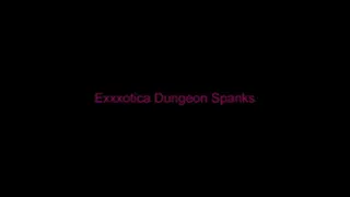 Exxxotica Dungeon Spanks