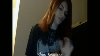 Slow Smoker