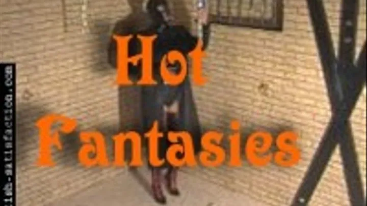 Hot Fantasies