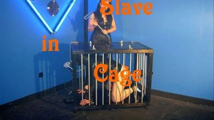 Slave in Cage