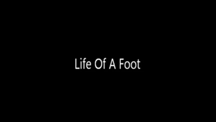 Life As A Foot