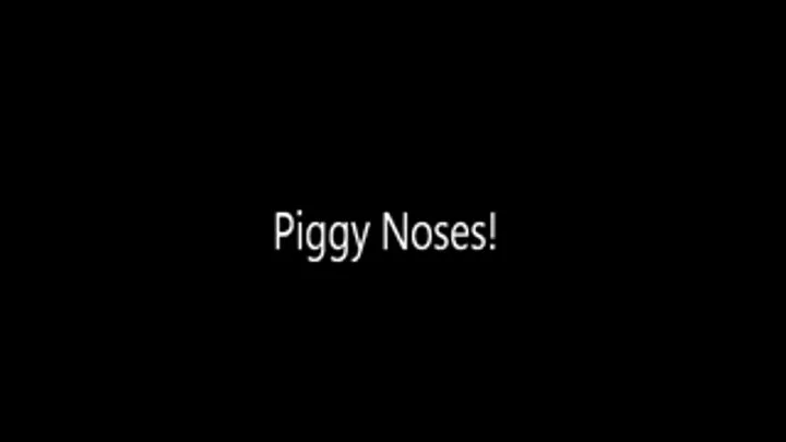 Piggy Nose