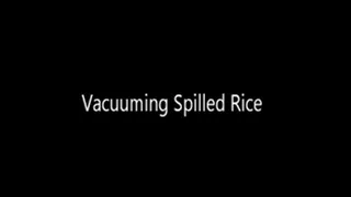 Vacuuming Up Spilled Rice