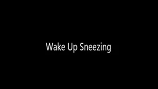 Morning Sneezes