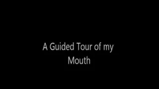 Guided Tour of my Mouth