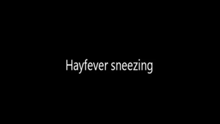 Hayfever Sneezes