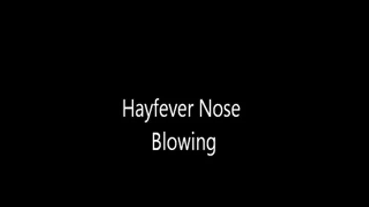 Nose Blowing Allergies