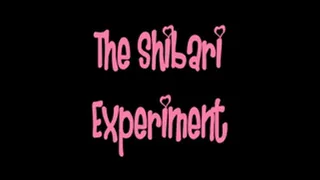 Shibari Experiment