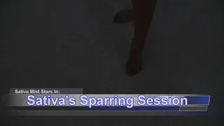 Sativa's Sparring Session