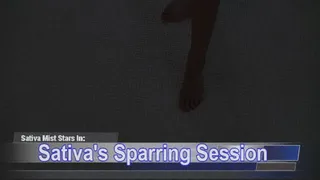 Sativa's Sparring Session