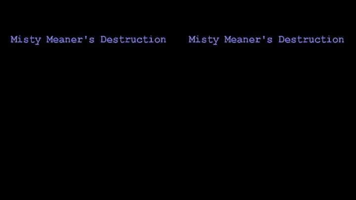 Misty Meaner's Destruction