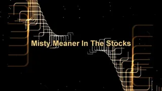 Misty Meaner In The Stocks