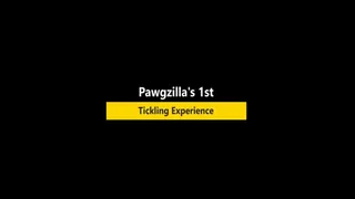 Pawgzilla's 1st Tickling Experience