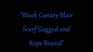 "Black Canary Blair Scarf Gagged and Rope Bound"