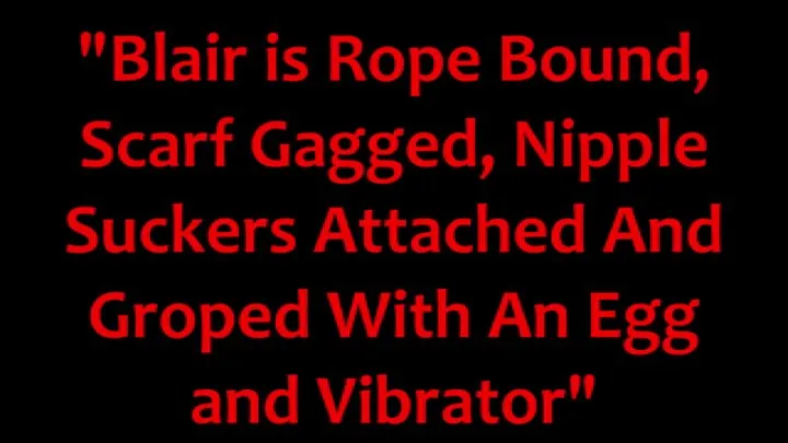 "Secretary Blair is Rope Bound, Scarf Gagged, Nipple Suckers Attached, and Groped With An Egg and Vibrator"