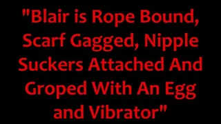 "Secretary Blair is Rope Bound, Scarf Gagged, Nipple Suckers Attached, and Groped With An Egg and Vibrator"