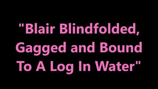 "Blair Blindfolded, Gagged And Bound To A Log In Water"