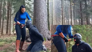 The Loser gets the Cock in the Forest