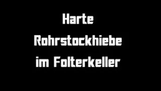 HARTE ROHRSTOCKZUCHT AM MARTERPFAHL