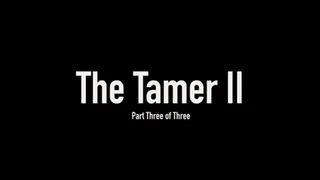 Christina Carter's Tamer II Pt. 3