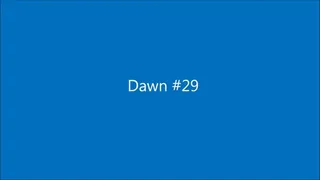 Dawn029