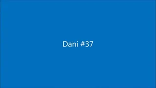 Dani037