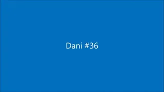 Dani036